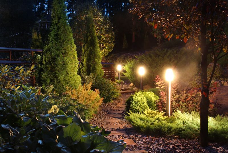 Landscape Lighting Setup