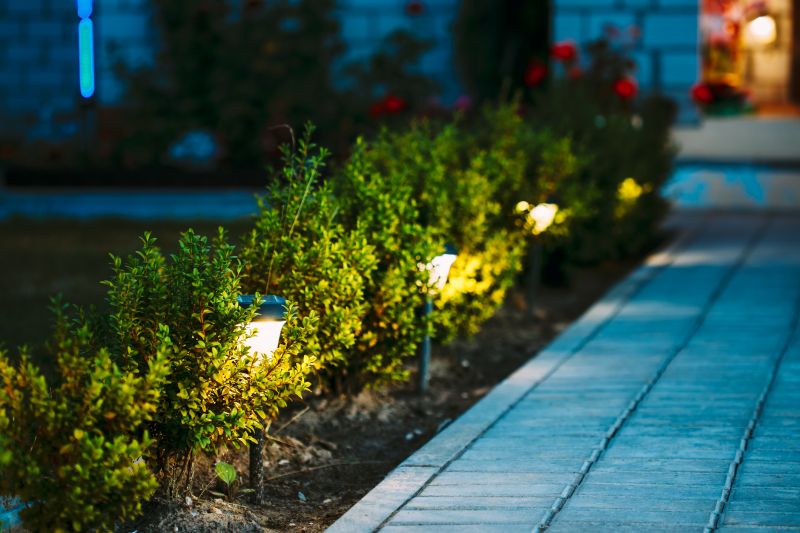 Exterior Landscape Accent Lights